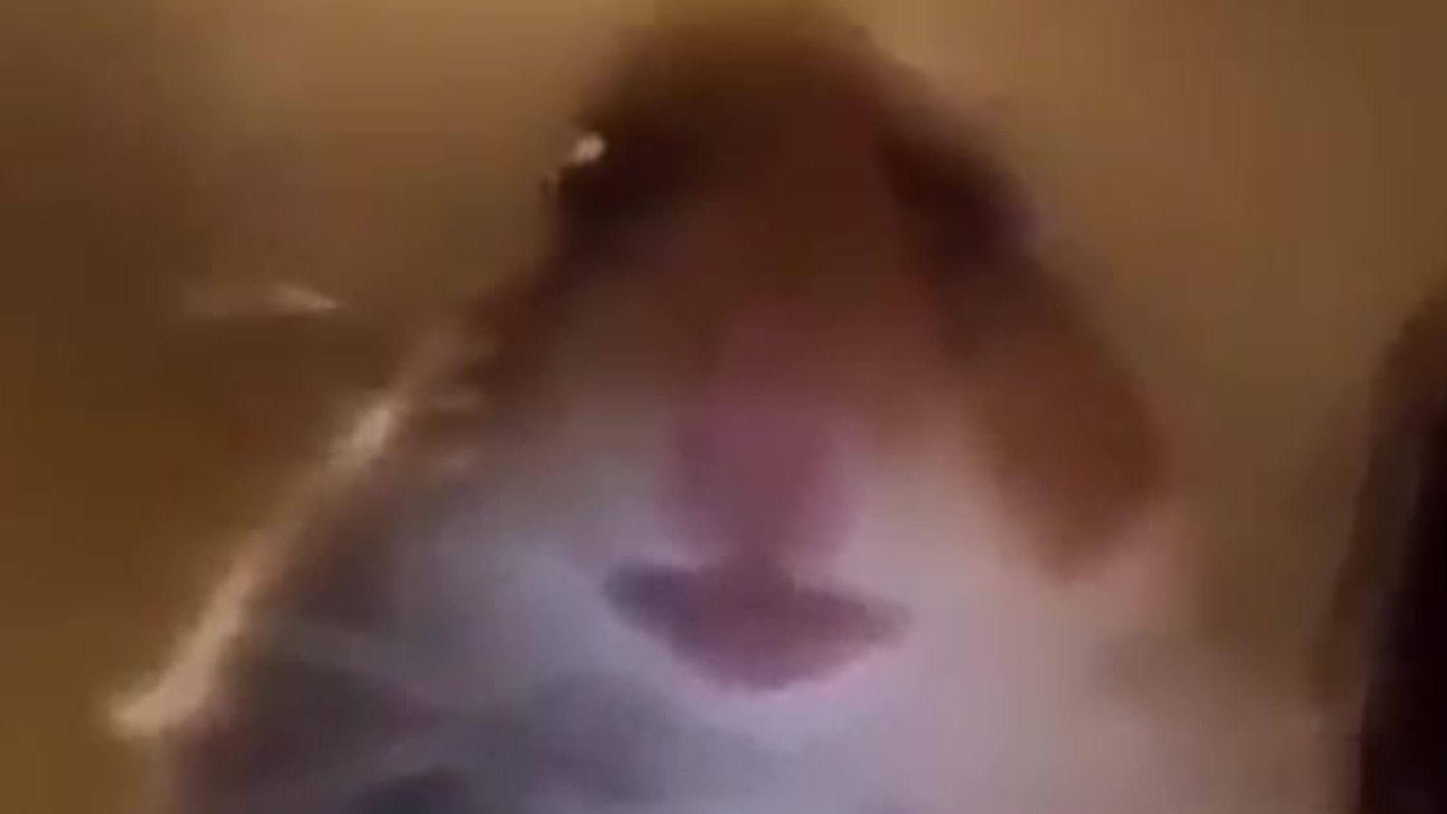 Нарезка стрима из твича Drag88w! Часть 6!