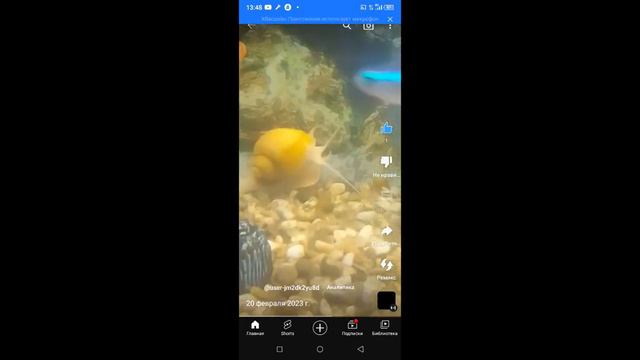 25 февраля 2023 г. смотреть онлайн