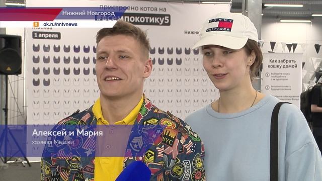 Всем по котику смотреть онлайн
