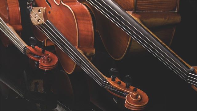 Flower Duet - Compare DUO, TRIO, QUARTET смотреть онлайн