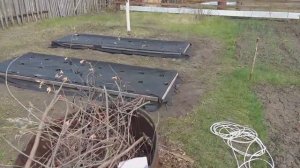 Черный спанбонд для грядок с клубникой, как закрепить чтобы сохранить растения. Выращивание клубник