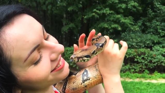 Медитация со змеями в парке смотреть онлайн