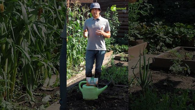 Когда сеять сидераты смотреть онлайн