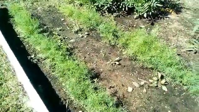 VLOG: Отдых в бассейне 31.07.2018 смотреть онлайн