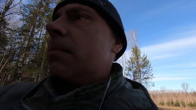 Лес 39 Крево Восток-2. 17 апреля 2022 года. Утро смотреть онлайн