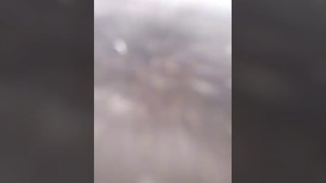 Щука на 8 кг. снасть для толстолобика. Самара (Пикелянка 2016 г.) смотреть онлайн