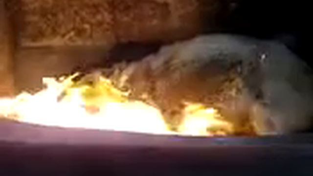 VID 20170805 110610 смотреть онлайн