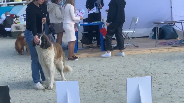 24 мая 2022 г. смотреть онлайн