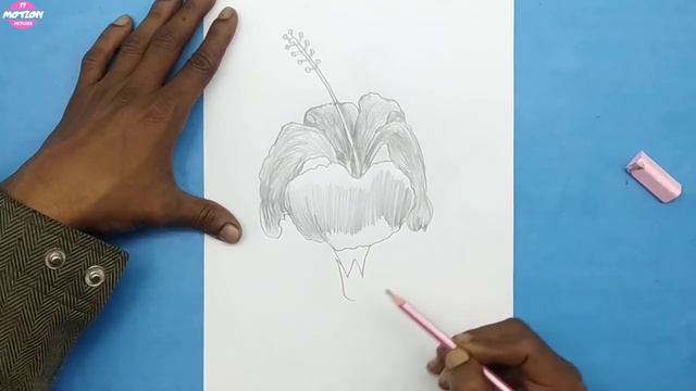 How To Draw a Hibiscus Flower [China Rose] Step by Step || Easy Pencil Sketch Tutorial смотреть онлайн