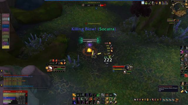 WOW SHADOWLANDS - LVL 20 outlaw rogue twink - Full bg PVP vid смотреть онлайн