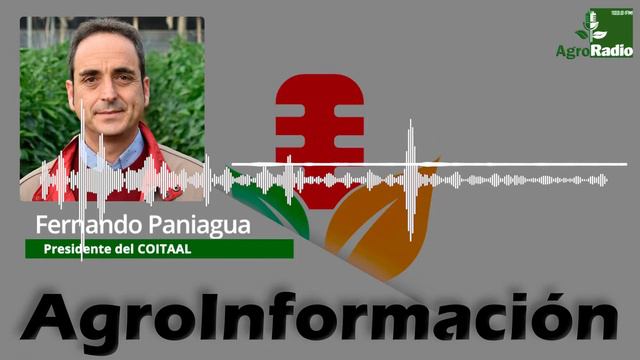 ENTREVISTA || FERNANDO PANIAGUA PRESIDENTE DEL COLEGIA DE INGENIEROS AGRONOMOS DE ALMERÍA смотреть онлайн