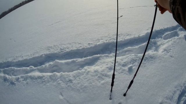 Лучшие недорогие спиннинги для джига?! Обзор всех моих палок. Deep, Gun, Fogel от Сезон Рыбалки.