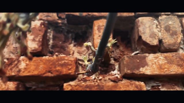 Headlock (Cinematic visualization on iPhone) смотреть онлайн