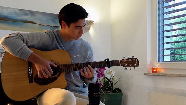 Apologize - TIMBALAND ft. ONEREPUBLIC - fingerstyle guitar cover by Jeremy Meister смотреть онлайн