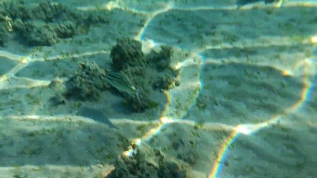 PROTELS GRAND SEAS RESORT HURGADA EGIPT смотреть онлайн