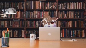 [Furry ASMR] [Roleplay] Meeting an Avali in the Library after class.