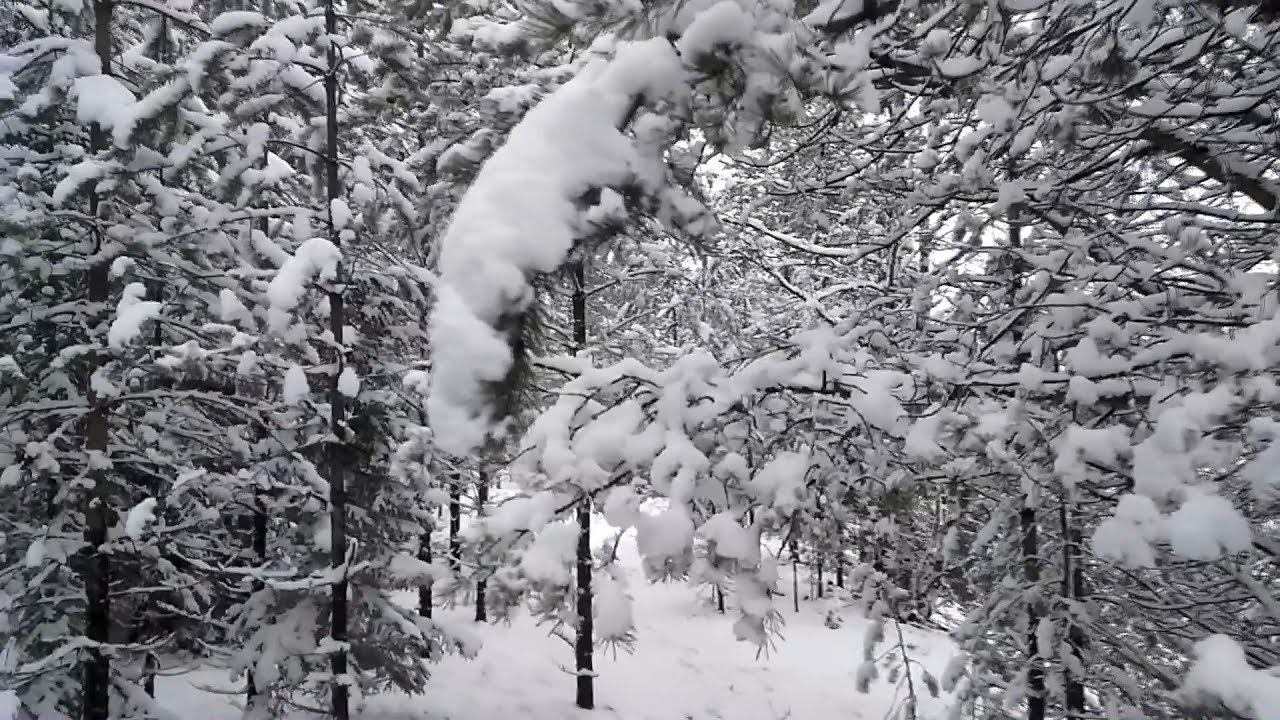 Зима в июне. смотреть онлайн