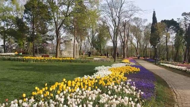 СТАМБУЛ/ Фестиваль тюльпанов/ ЭМИРГАН ПАРК