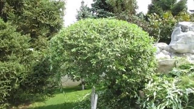 Психологический Консалтинг и Коучинг