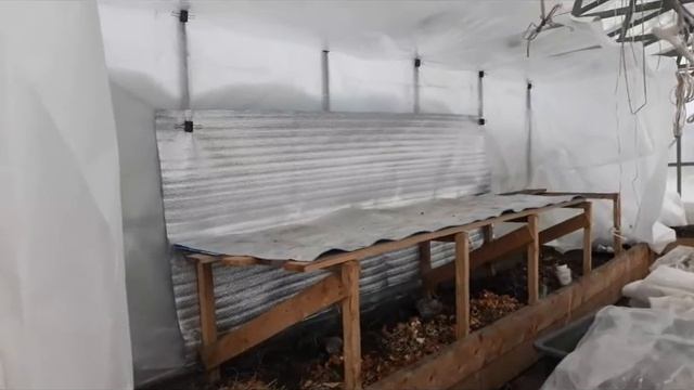 ГДЕ ВЕСНА //БЛИНЧИКИ С ЯБЛОКАМИ. смотреть онлайн