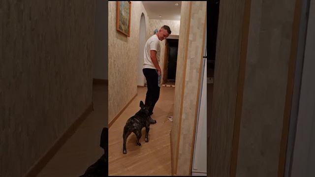 Охота смотреть онлайн
