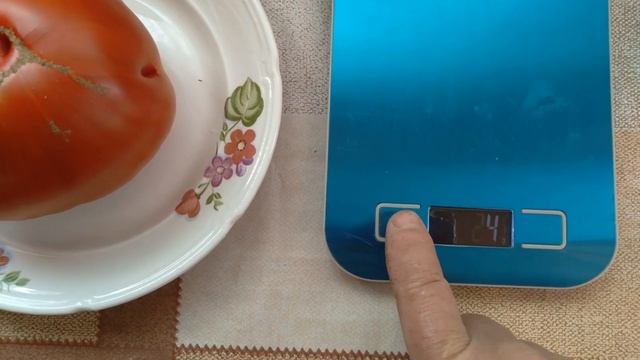 Сорт томата Дворцовый. смотреть онлайн