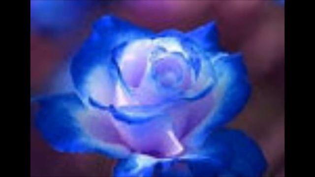 FLY HOME.LITTLE HEART (Ivor Novello) смотреть онлайн
