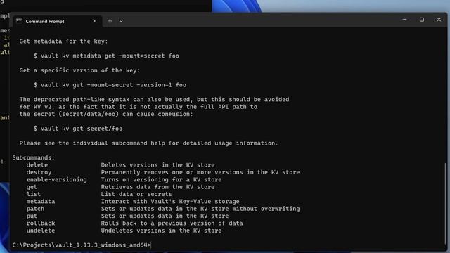 Install HashiCorp Vault on Windows 11 смотреть онлайн