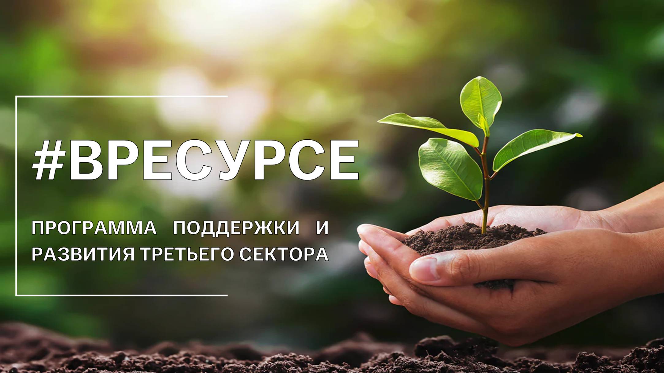Как НКО оставаться в ресурсе смотреть онлайн