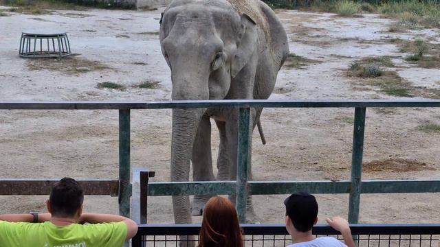 Магда и Дженни поделили "рыбные" места) Тайган смотреть онлайн