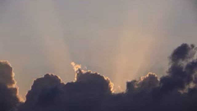 польза листьев грецкого ореха смотреть онлайн