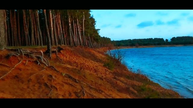 Калининград природа смотреть онлайн