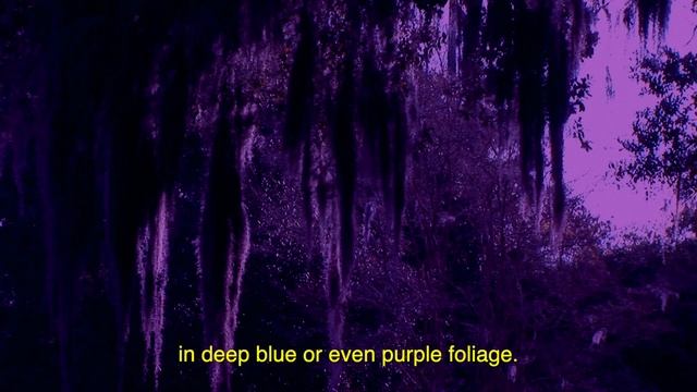 Forget the Earth! | Kepler-186f смотреть онлайн