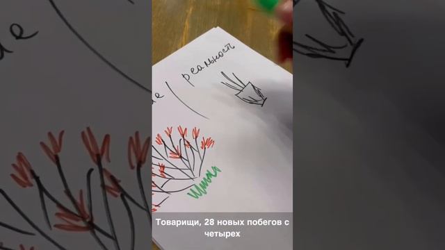 Что за палки? Дайте красивый, цветущий куст! смотреть онлайн