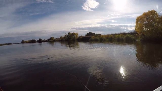 ЖОР ЩУКИ И СУДАКА в октябре смотреть онлайн