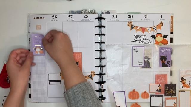 PLAN WITH ME // SPOOKY CATS CATCH ALL SPREAD // FALL STICKER BOOK // OCT 26TH- NOV 1ST смотреть онлайн