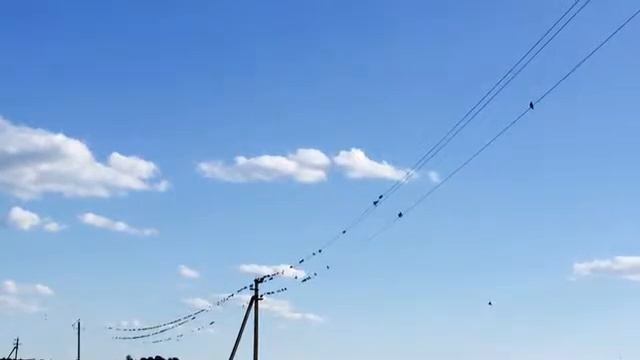 Мой отпуск!!!! Деревня казимирово смотреть онлайн