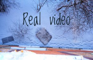 Дежурные сутки - Как правильно поступить?