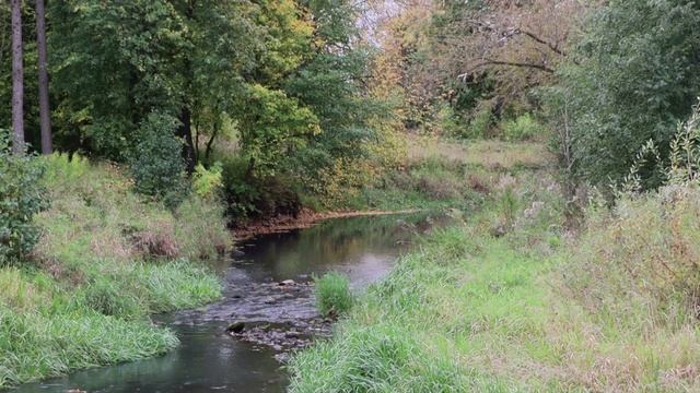 Осенняя набережная реки Гдовки смотреть онлайн