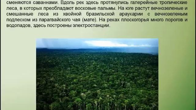 Бразилия. География 7 класс. смотреть онлайн