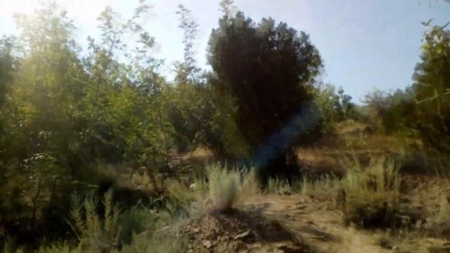 Как было в Крыму . Морское. Общее мнение о поездке и советы смотреть онлайн