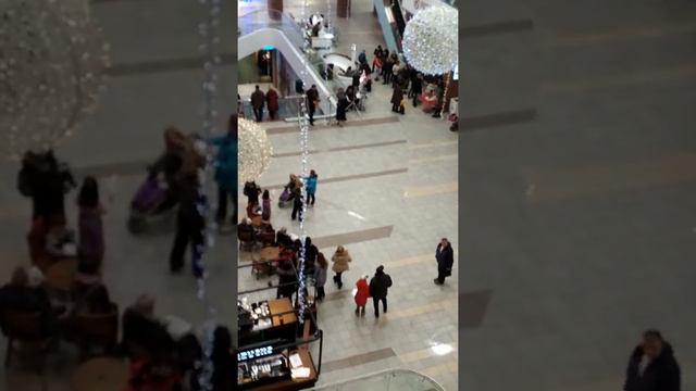 Мытищи новый год красный-кит смотреть онлайн
