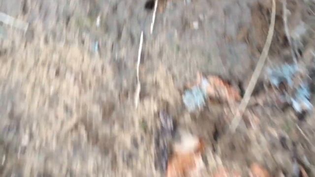 ОСЕНЬ... МУРАВЬИ ГОТОВЯТСЯ К ЗИМЕ... смотреть онлайн