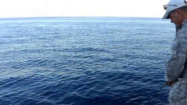 Луфарь в Алуште.wmv смотреть онлайн
