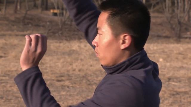 Комплексы «Уциньси»игры 5 животных[Age0+] смотреть онлайн