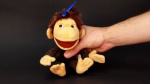 Fancy Мартышка (ОЗМ0М)