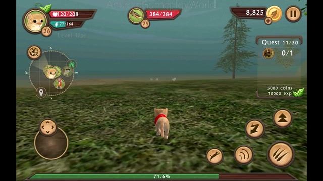 Cat Sim Online: Play with Cats Android Gameplay Ep 24 смотреть онлайн