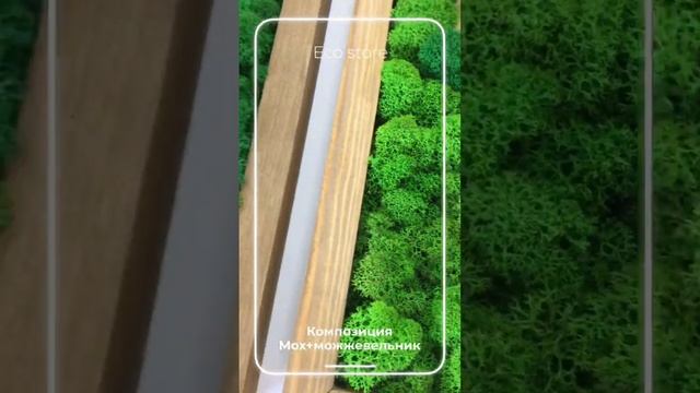 Необычное панно из можжевельника и мха . смотреть онлайн