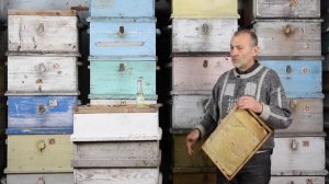 КАК СОХРАНИТЬ СУШЬ, СОТЫ ОТ ВОСКОВОЙ МОЛИ И МЫШЕЙ? ДЕЗИНФЕКЦИЯ РАМОК!