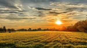 Александр Сотник - Цыганский костёр